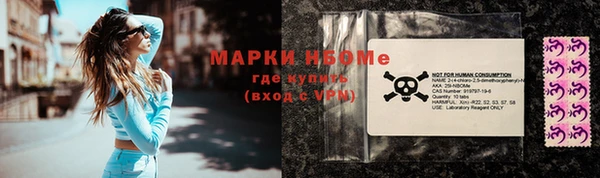 индика Аркадак