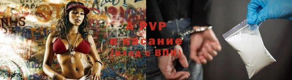 меф Арсеньев