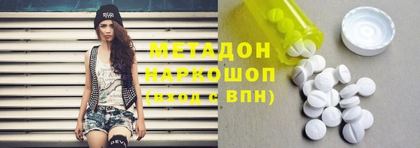 индика Аркадак