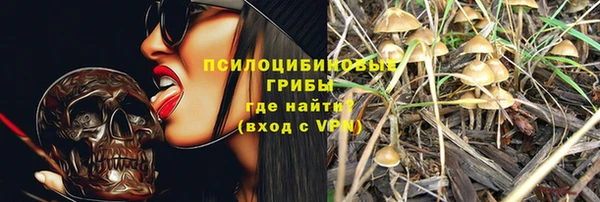 меф Арсеньев