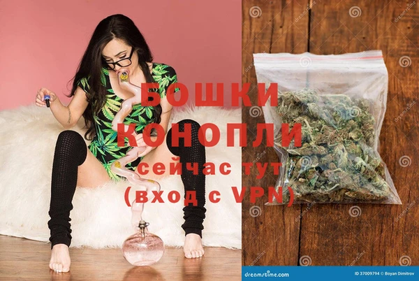 индика Аркадак