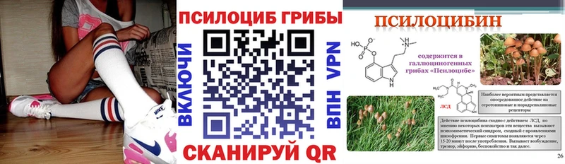 Псилоцибиновые грибы ЛСД  где купить наркоту  Георгиевск 