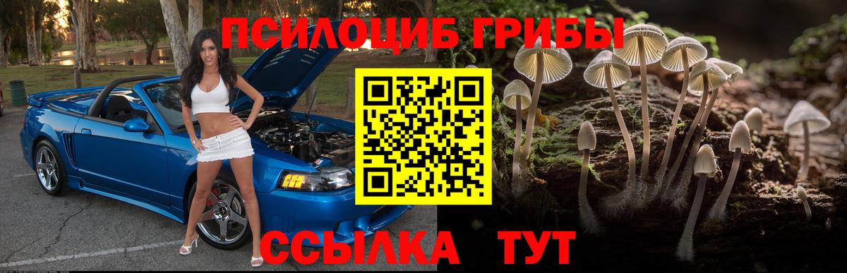 Псилоцибиновые грибы Psilocybine cubensis  Вход с VPN  Псилоцибиновые грибы мухоморы  Георгиевск 